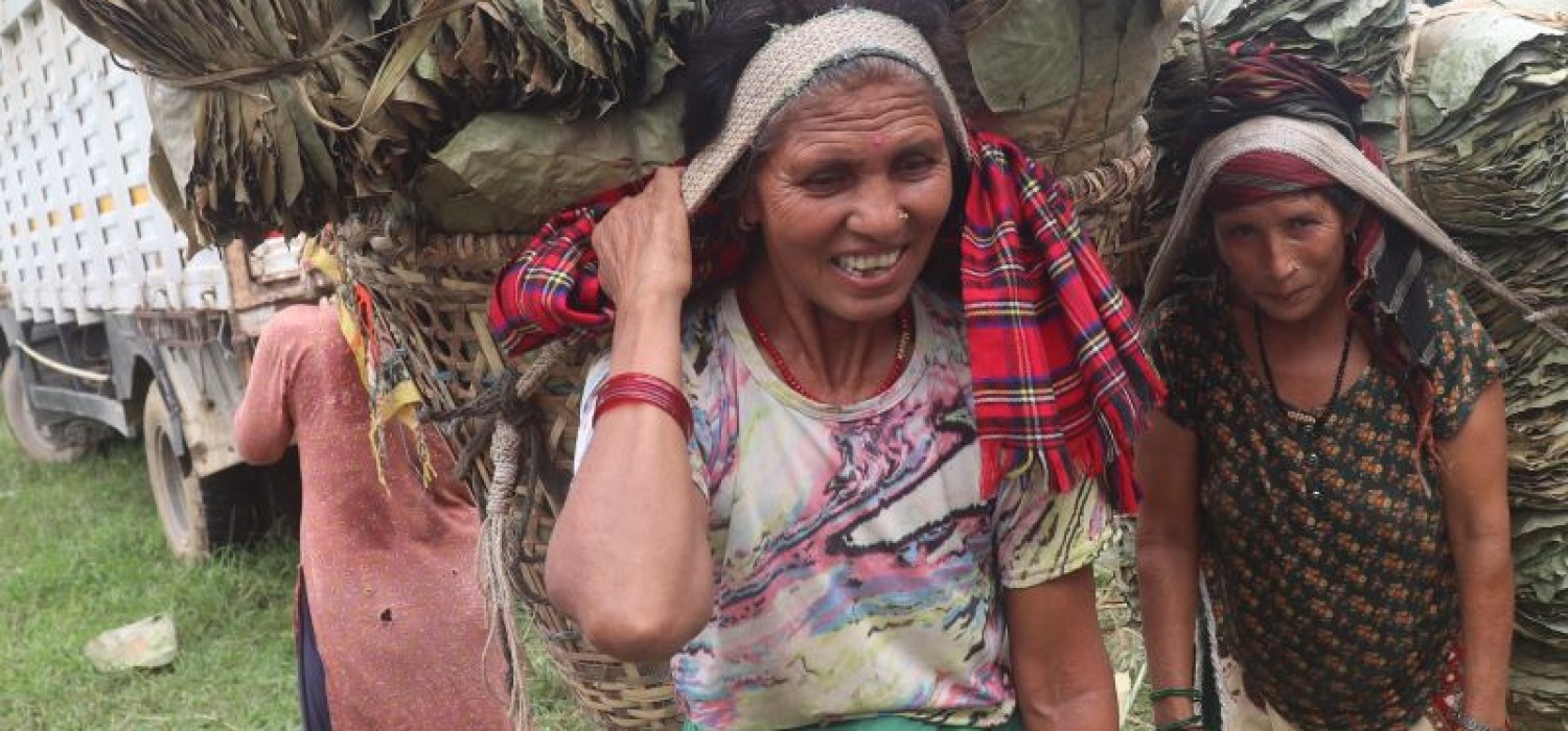 Purchasing Raw Material From Farmer